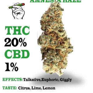 Amnesia Haze Strain