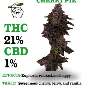 Cherry pie strain for sale