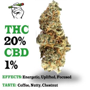 Chocolope strain