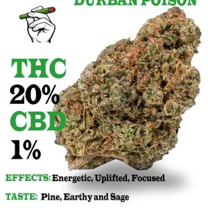 Durban Poison