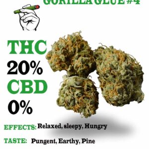 GORILLA GLUE #4