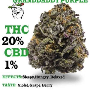 GrandDaddy Purple strain