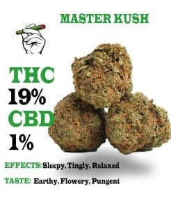 Master Kush strain