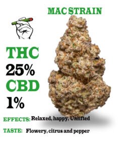 Miracle Alien Cookies (MAC)