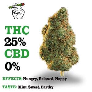 Girl scout cookies strain