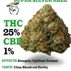 Super Silver Haze