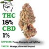 Tropicana Cookies strain