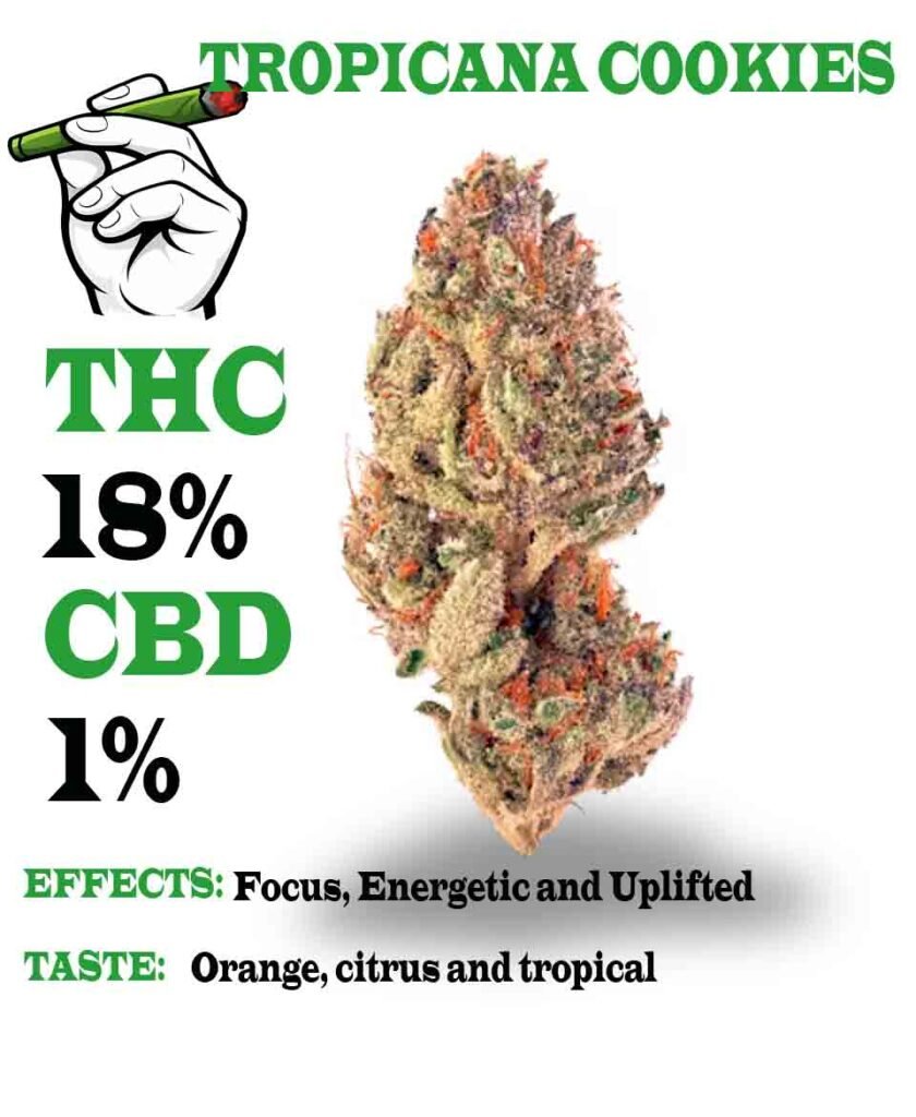 Tropicana Cookies strain