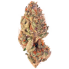 Tropicana Cookies strain for sale