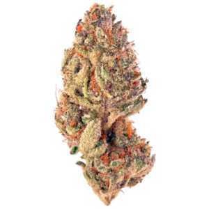Tropicana Cookies strain for sale