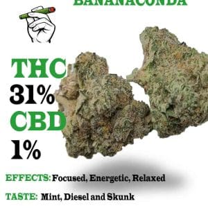 Bananaconda strain