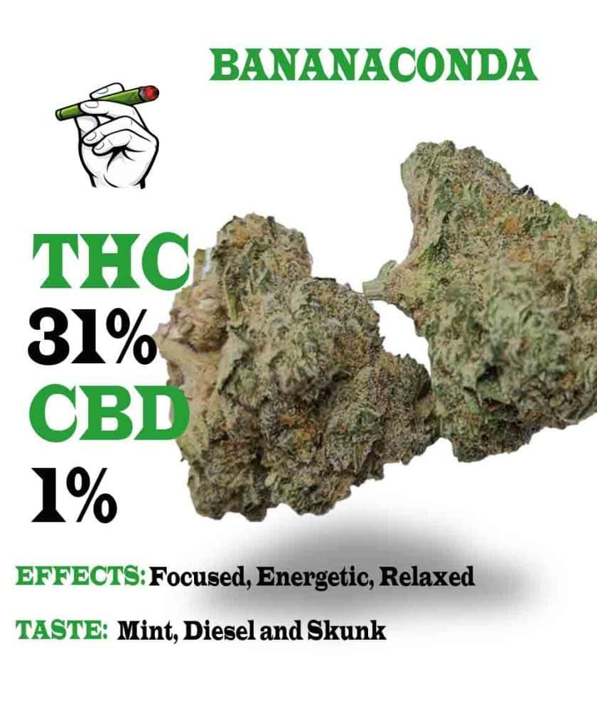 Bananaconda strain
