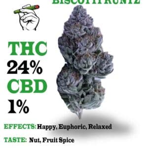 Biscotti Runtz Strain
