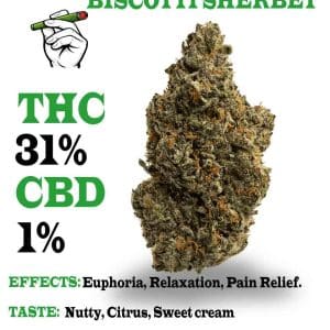 Biscotti Sherbet strain