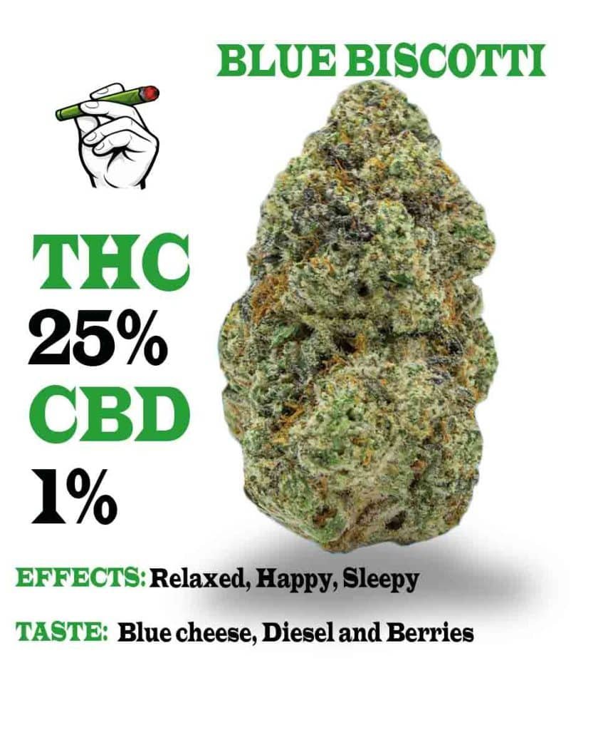 Blue Biscotti strain