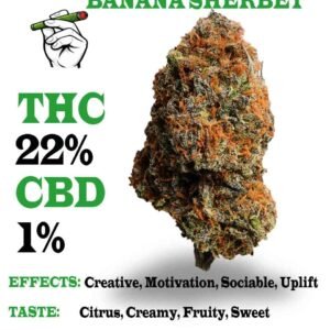 Banana sherbet strain