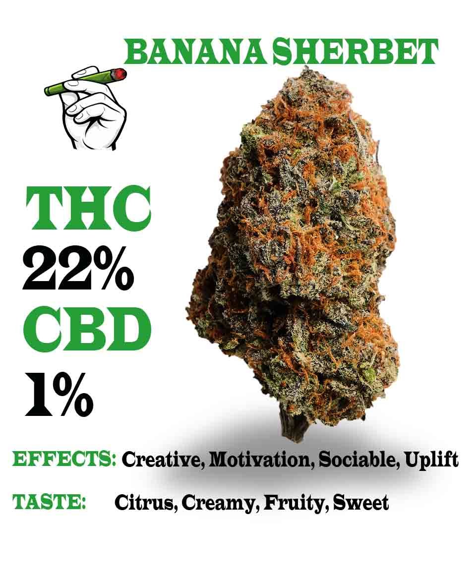 Banana sherbet strain
