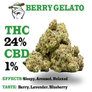 Berry Gelato strain