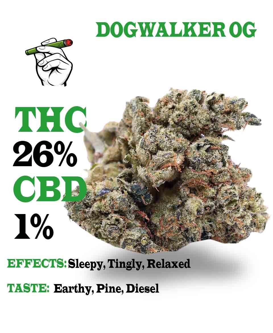 Dogwalker OG strain