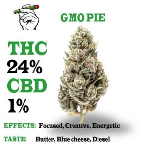 GMO Pie Strain