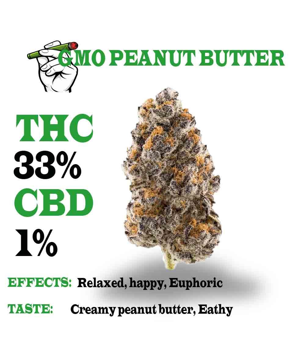 GMO peanut butter strain