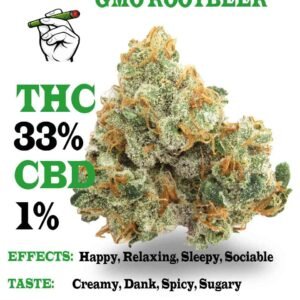 GMO rootbeer strain