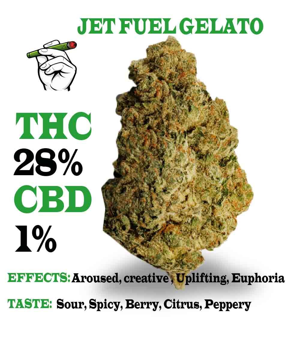 Jet fuel Gelato strain