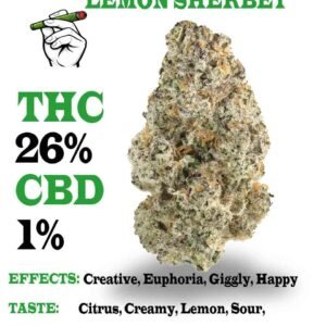 Lemon Sherbet strain