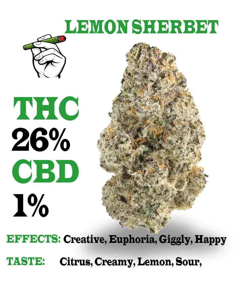 Lemon Sherbet strain