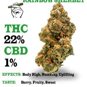 Rainbow Sherbet strain