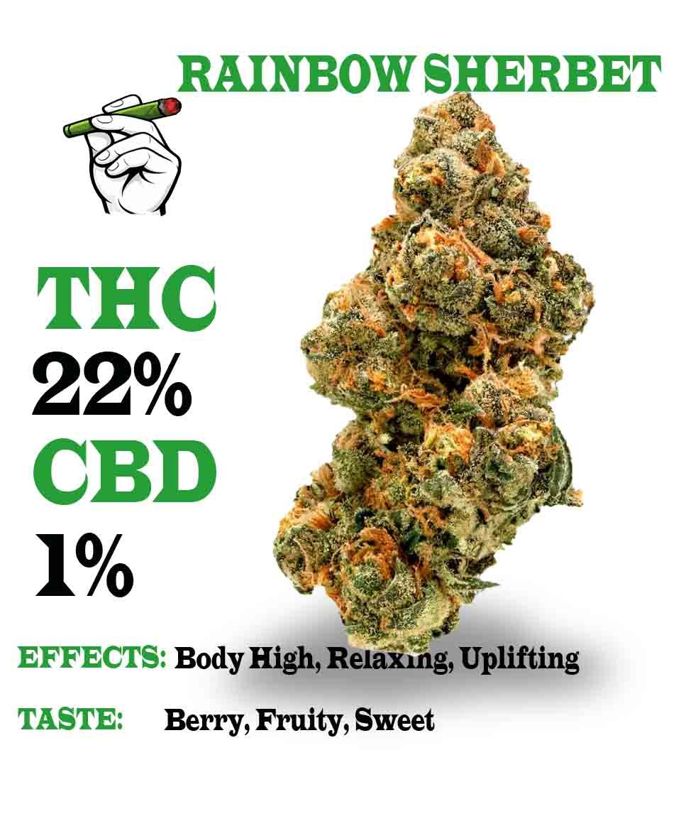 Rainbow Sherbet strain
