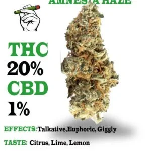 Amnesia Haze Strain