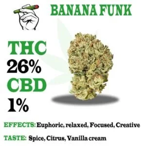 Banana funk strain